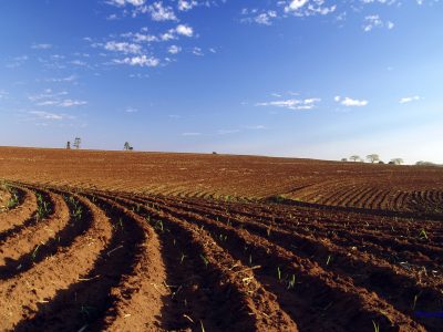 TERRENO DE 10 HECTARES